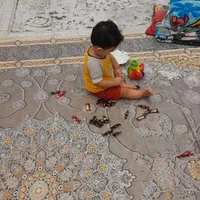روفرشی مخمل ترک کشدار|روفرشی|رشت, پیرکلاچای|دیوار
