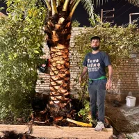 قطع نخل .هرس نخل .بریدن نخل از ریشه..تمیزکردن نخل|خدمات باغبانی و درختکاری|اهواز, گلستان|دیوار