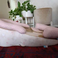 تشک ضد رفلاکس نوزاد نو|اسباب و اثاث بچه|بروجرد, |دیوار