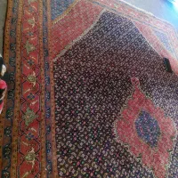 یک جفت فرش طبیعی ۸۰ میلیون