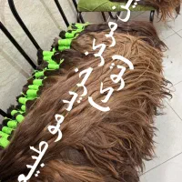 بزرگترین مرکز خرید مو طبیعی اصلی (توک)بدون شعبه