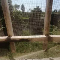 ویلا200 در لیسار|فروش خانه و ویلا|لیسار, |دیوار