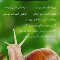 خدمات آرایشگری فیشیال و حلزون درمانی