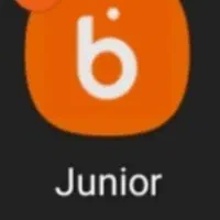 جایزه بلو جونیور