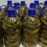 محصولات خانگی شامان|خوردنی و آشامیدنی|تهران, امام زاده عبدالله|دیوار