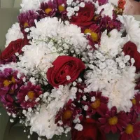 گل تازه