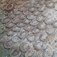 نعل اسب پاخورده