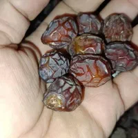 محصول امسال