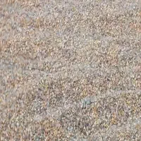 ذرت دانه (دان)