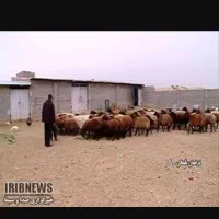 یک-عدد-اغال