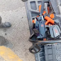 هرس کاری درخت