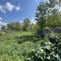 زمین۲۰۰مترمسکونی/مدارک سندتکبرگ/اشمان کماچال|فروش زمین و ملک کلنگی|آستانه اشرفیه, |دیوار