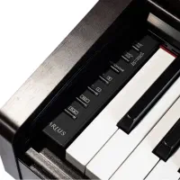 پیانو دیجیتال یاماها YDP 145|پیانو، کیبورد، آکاردئون|شاهین‌شهر, شهرک منازل چوبی|دیوار