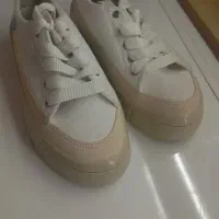 کفش وکیف|کیف، کفش، کمربند|یاسوج, |دیوار