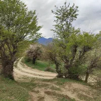 فروش زمین مناسب ساخت ویلا سوئیسی