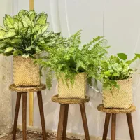 جویای کار|خدمات نظافت|بوشهر, |دیوار