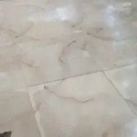 کاشی سرامیک موزائیک پله