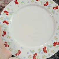پلو خوری