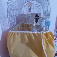 عروس هلندی