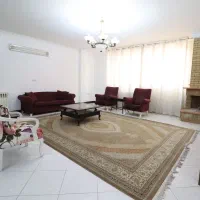 میرزای شیرازی روزانه