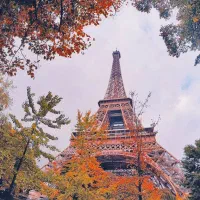 مدرس خصوصی زبان فرانسه