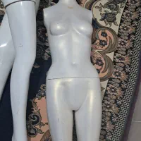 فروش مانکن نیم تنه وکامل