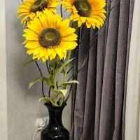 گل آفتابگردون با گلدون