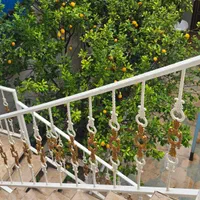 اجاره اپارتمان و سوییت|اجارهٔ کوتاه‌مدت آپارتمان و سوئیت|بندر گناوه, |دیوار