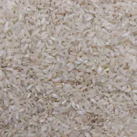 فروش برنج درجه ۱ کامفیروزی دانه سالم و نیم دانه