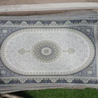 پادری|پادری|قم, بکایی|دیوار