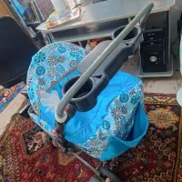 کالسکه|کالسکه و لوازم جانبی|شیراز, سرو|دیوار