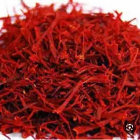 گندم ریژاو برا بذر