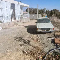 پیکان سواری مدل 81