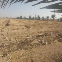 اجاره زمین کشاورزی