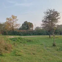 زمین ۷۰۵ متری درگیلان