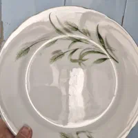 بشقاب غذا خوری و سوپ خوری|ظروف سرو و پذیرایی|تهران, زرکش|دیوار