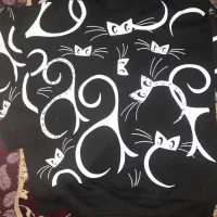 لباس توکرکی گربه گرم|لباس|کاشان, درب اصفهان|دیوار