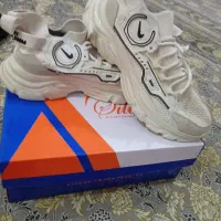 کفش|کیف، کفش، کمربند|مرند, |دیوار