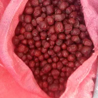 عناب ریزودرشت|عمدهفروشی|قائن, |دیوار