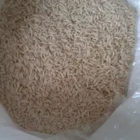 برنج قائم اطمینان درهردانه|عمده‌فروشی|بابلسر, |دیوار