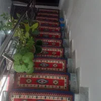 روپله ای در حدنو