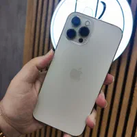 ۱۲ پرومکس پک اصلی ( اقساط بلند مدت )