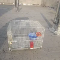 قفس مخصوص جفتگاه|لوازم جانبی حیوانات|گالیکش, |دیوار