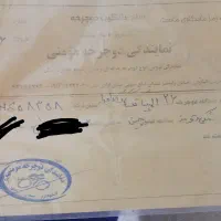 دوچرخه المپیا 26|دوچرخه، اسکیت، اسکوتر|الیگودرز, |دیوار