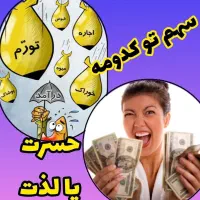 کسب درامد خانم ها