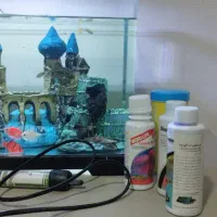 آکواریوم (دلسا)