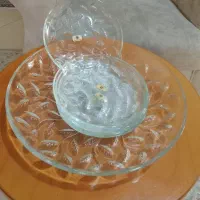 ظرف و ظروف منزل