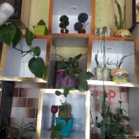 باکس هر کدوم ۲۰۰ ت|کتابخانه، شلف، قفسه‌های دیواری|اهر, |دیوار