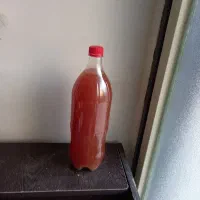 ابغوره خونگی