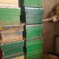 12دعد کندو نو سالم دارم اگه کسی خواست در خدمتم